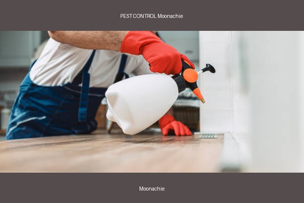 PEST CONTROL Moonachie